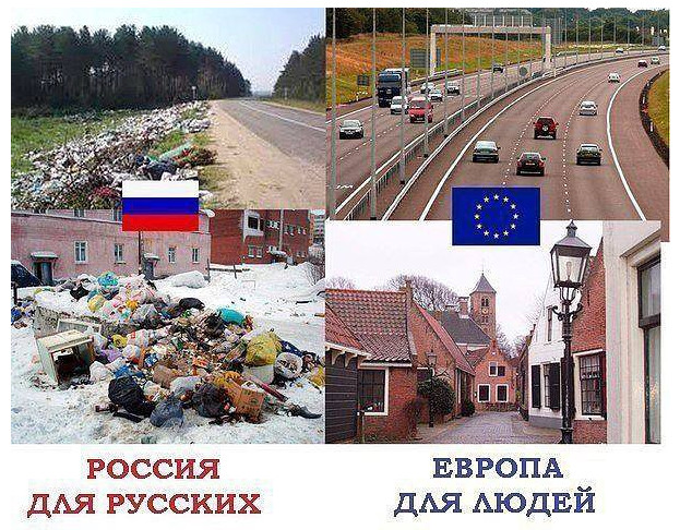 На Майдане посадили огород и строят свинарник.