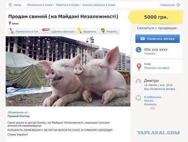 Кандидат в президенты Украины