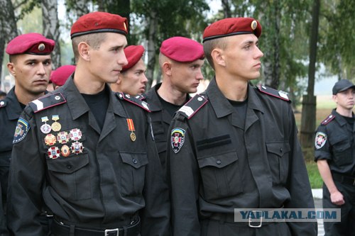 Так оденут полицейских