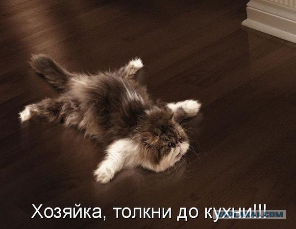 Немного позитива на пятницу