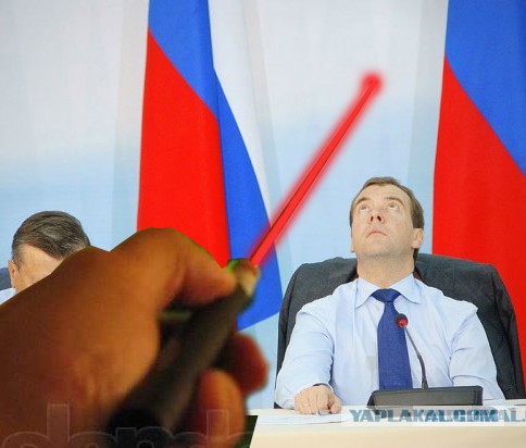 Какие нах санкции, у меня тут шмель!