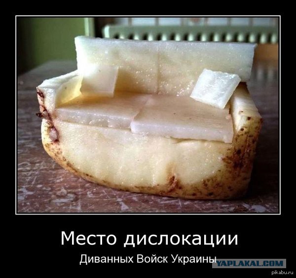 Украина, смотри!
