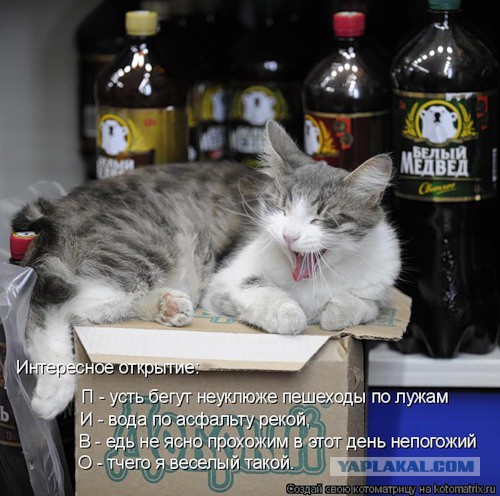 Надписи и объявления с просторов