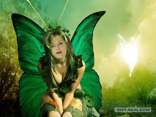 Плюсомет со шпалометом