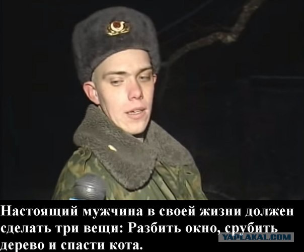 Фотожабы про спасение Барсика