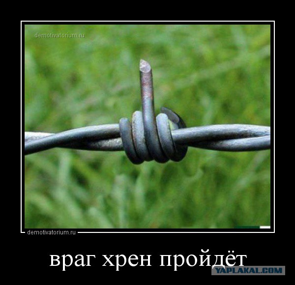 Весёлое из сети