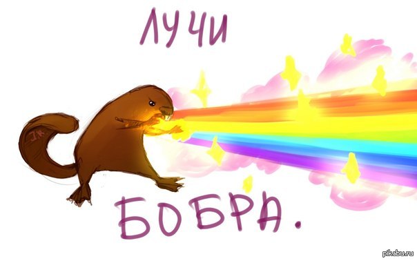 ЯП 1 000 000