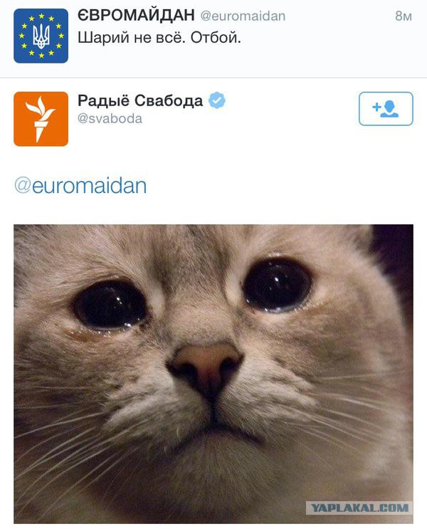 По аресту Шария