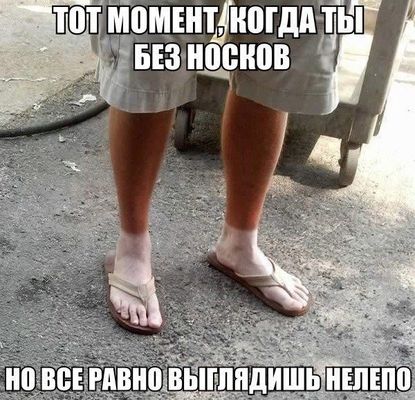 Забавные картинки из Сети