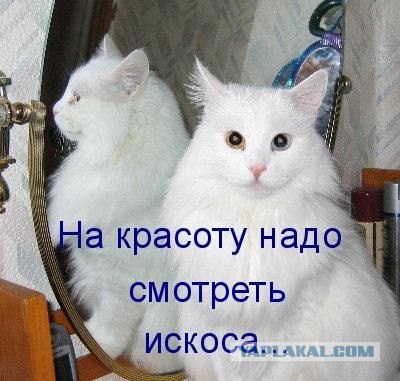 Взглянул искоса написание. Взглянул искоса написание. Ударение в слове ломоть хлеба. Они прошли еще раз мимо картины искоса взглянув. Понурый значение.