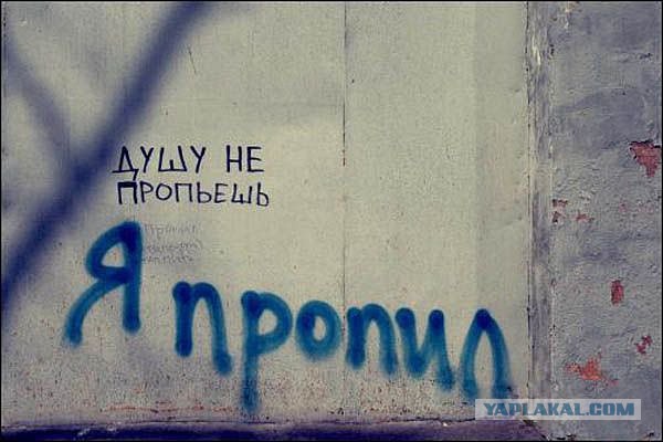 34 правдивых надписей на стенах