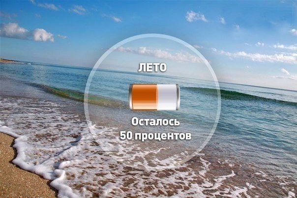 Подборка веселостей из сети