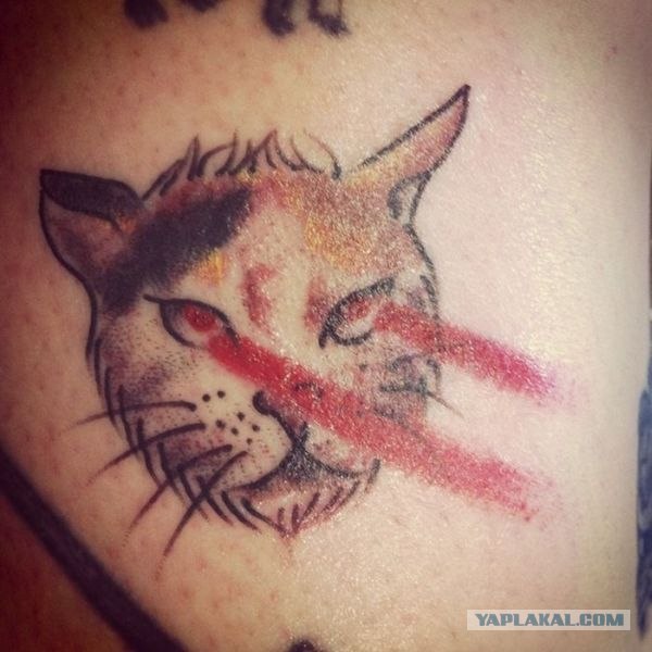Наколи себе котэ!