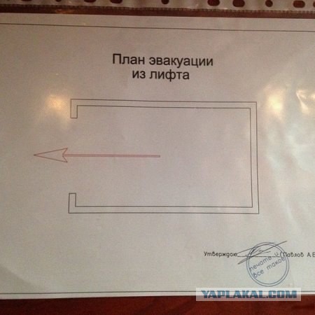 Подборка приколов на пятницу