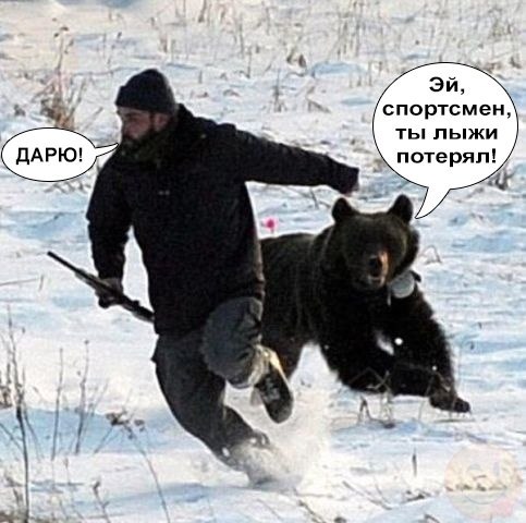Смешные комментарии 20.12.2015