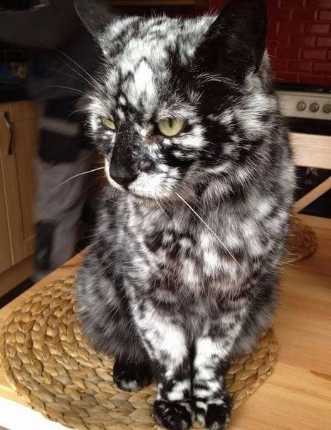 Разные картинки