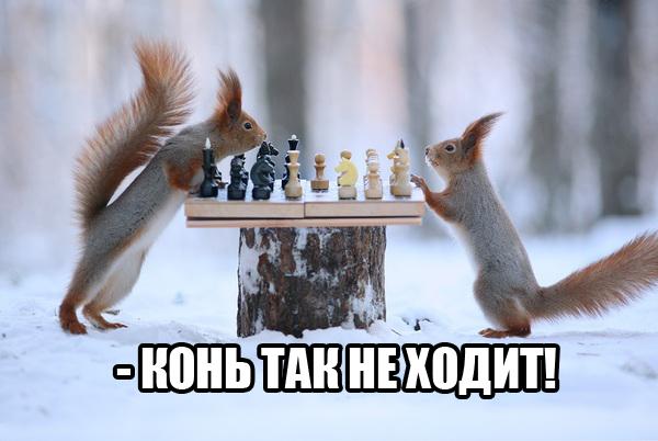Отовсюду понемногу