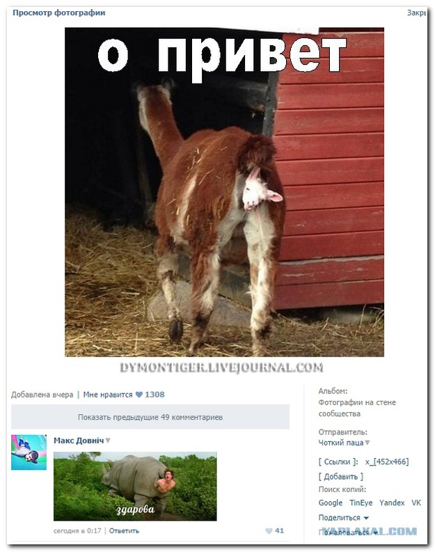 Ужасы и приколы из соцсетей 18+