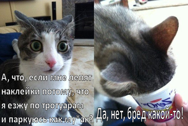 СтопХам обратная сторона