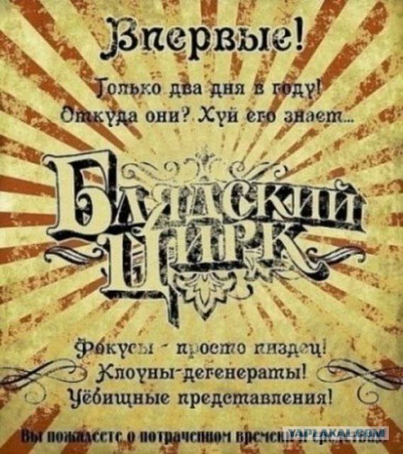 Доносчица или патриотка?