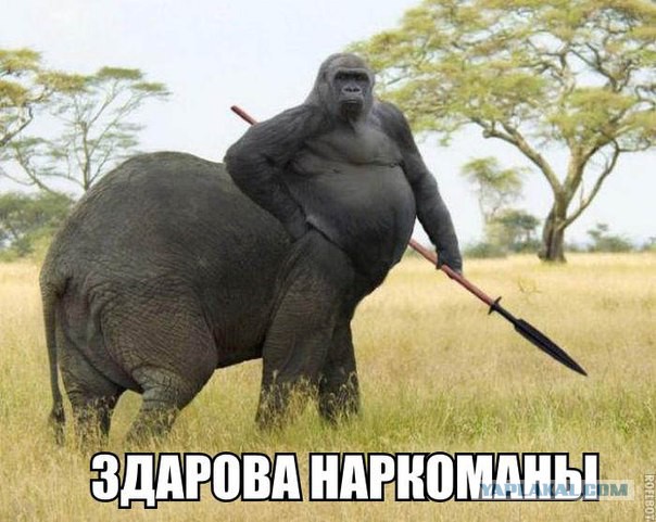 Абсурдный юмор ч.18