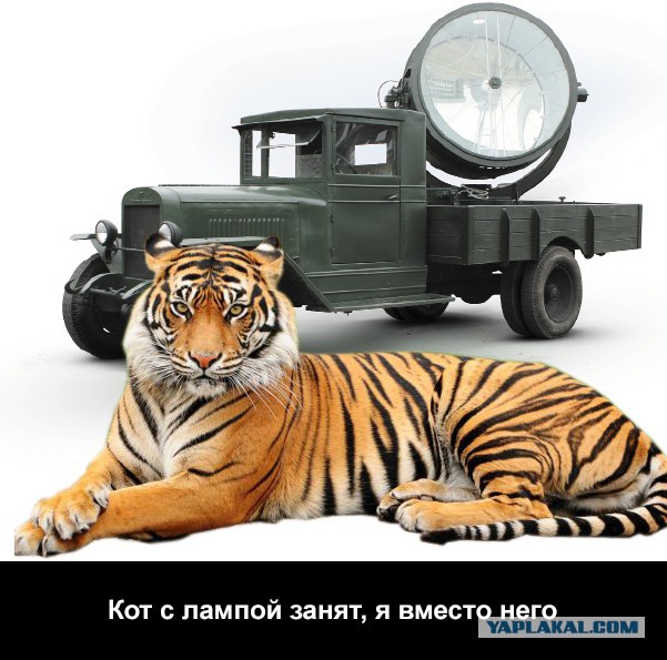 Охота за «Чёрным Дроздом»