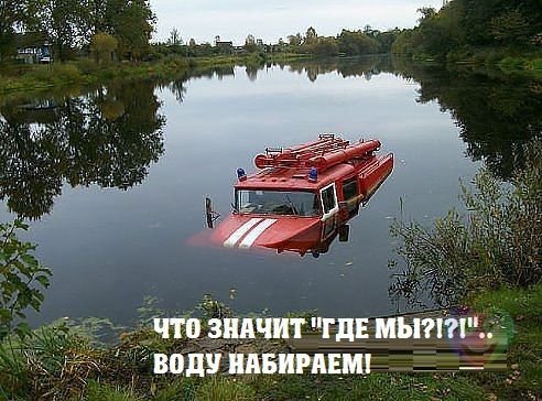 Забавные картинки из Сети