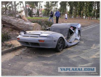 Утро началось не с кофе, или повезло так повезло!