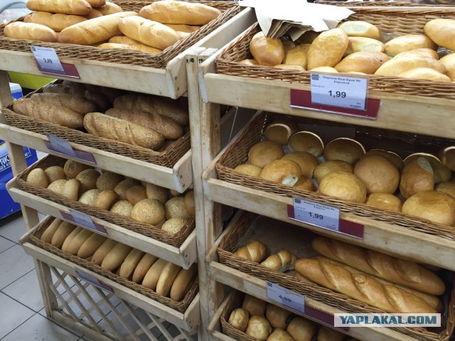 Путин: слова Медведева о пенсиях "вырваны из контекста"