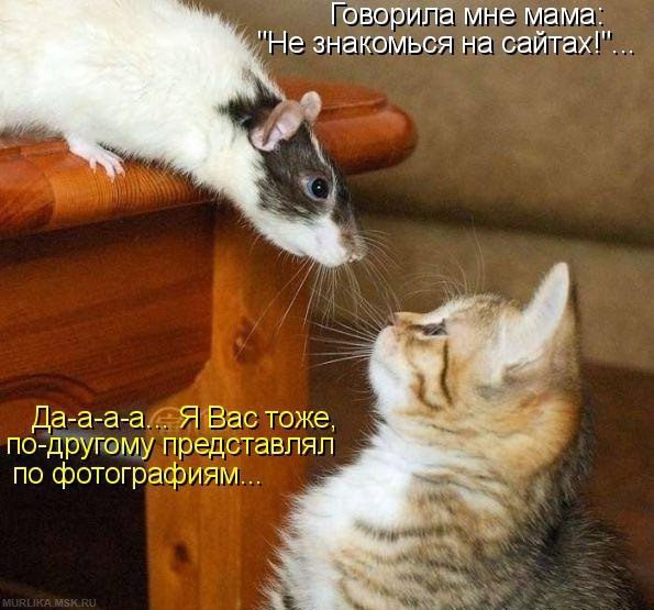 Божьи твари