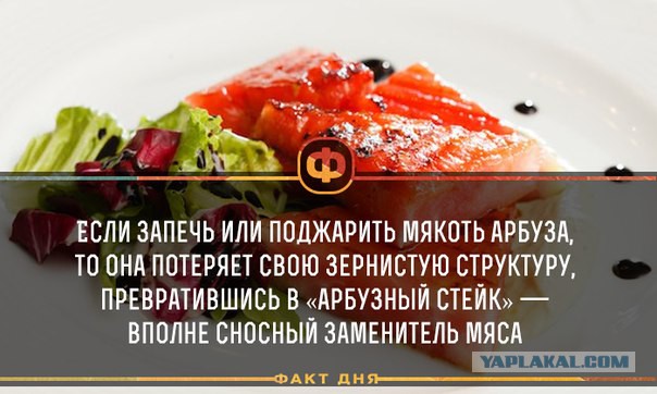 Кухня (кулинарное и околокулинарное общение)