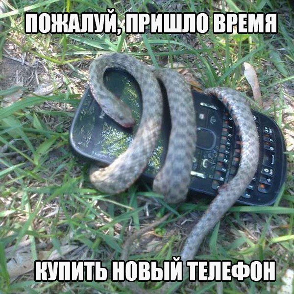 Порция картинок из сети