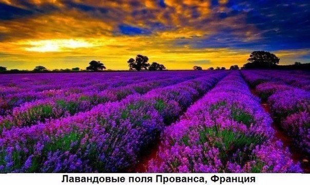 Картинки из этих ваших инторнетов