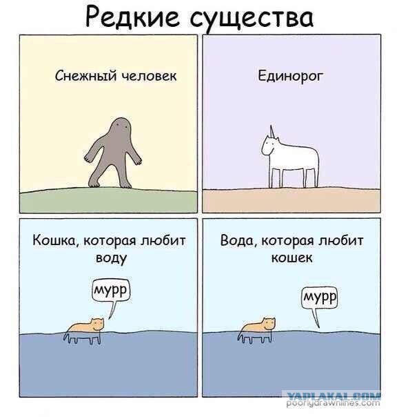 Тридцать одна картинка упоротого арта.