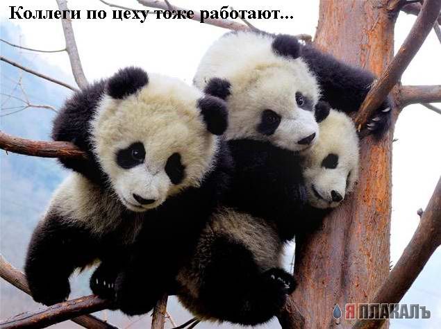Работа в субботу