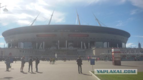 Питерские и околопитерские картинки