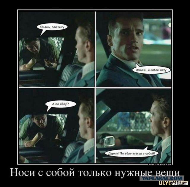 Работа не волк, но картинки сами себя не посмотрят!