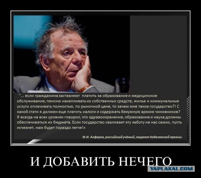 «Позор»: в Ярославле появились плакаты с лицами депутатов Госдумы поддержавших пенсионную реформу