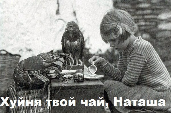 Опять обдолбался, паршивец!?