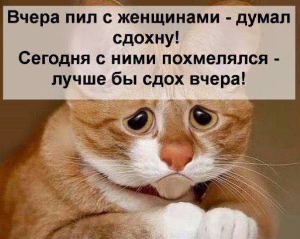 Подборка интересных и веселых картинок