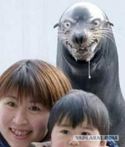 Старое, доброе, вечное