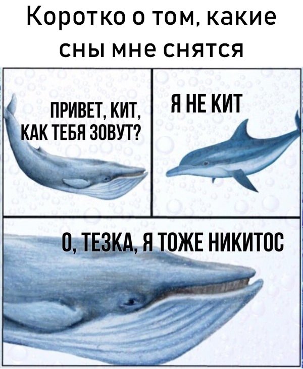 Немного картинок для настроения