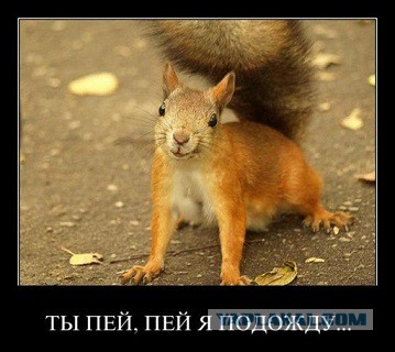 Погром в Пятерочке