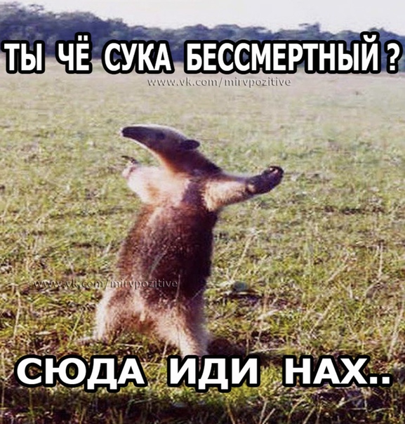 Бессмертие реально!