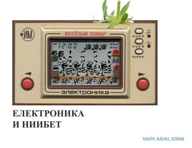 Фотожаба: Лето, фрукты, генетика!
