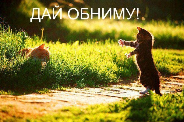 Чуток картинок 05.06.20
