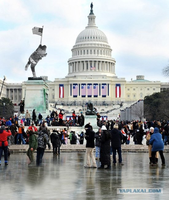 Фотограф прилег отдохнуть