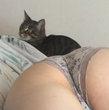 Девушки котовторника