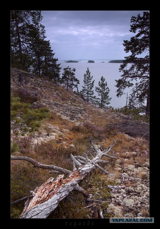 Весна... будет когда-нибудь... завтра (с), 5 фото