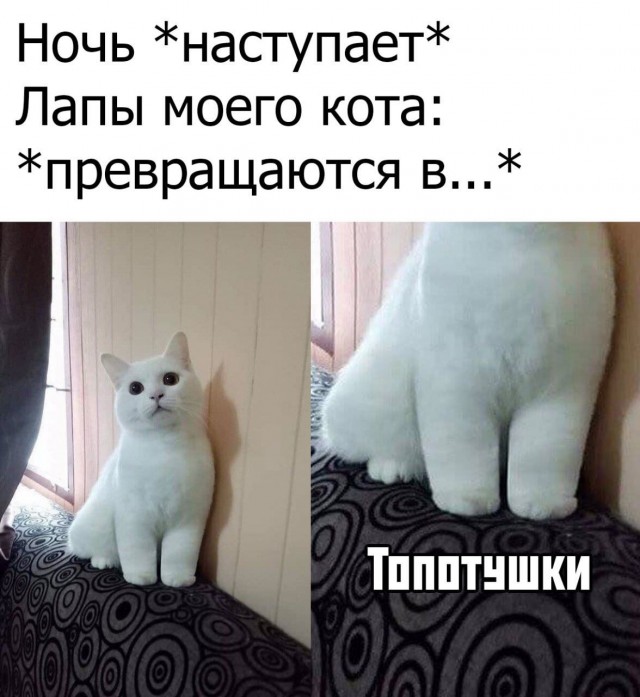 Картинки и мемы для настроения 23.08.2021